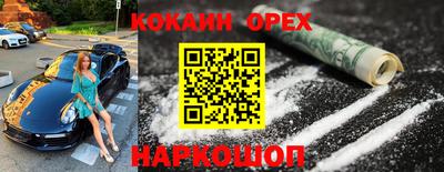 крисы Гатчина