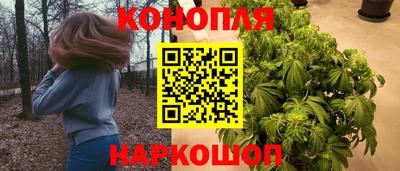 мдпв Гай