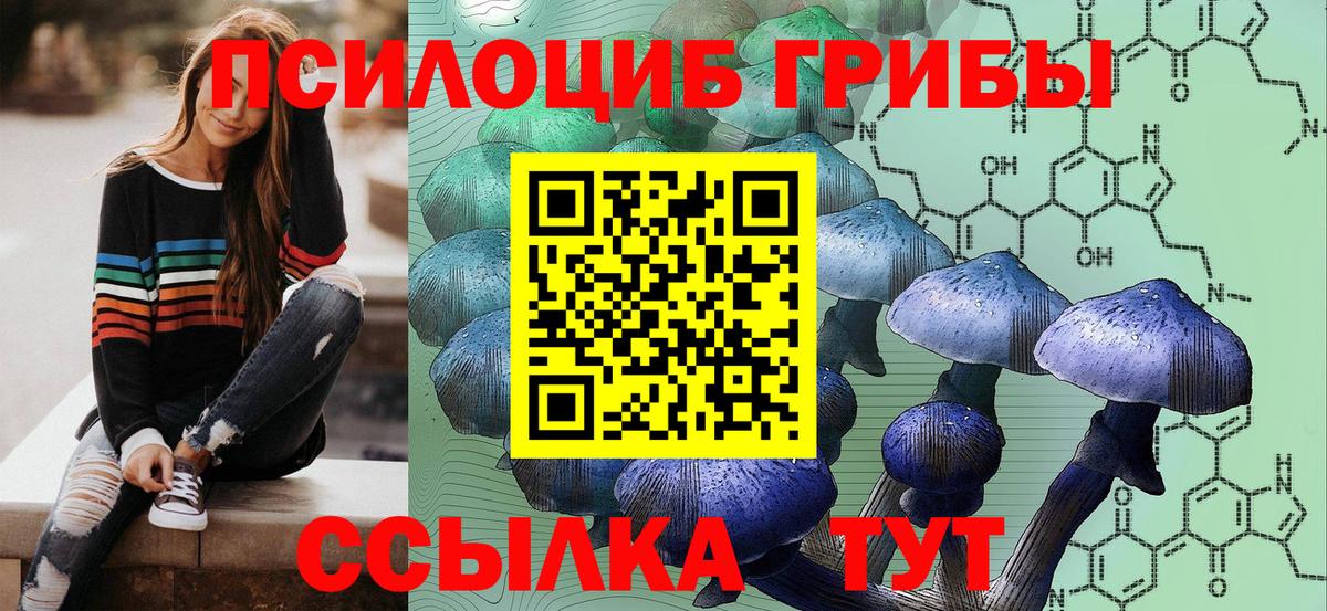 Галлюциногенные грибы MAGIC MUSHROOMS  Вход с VPN  Мичуринск 
